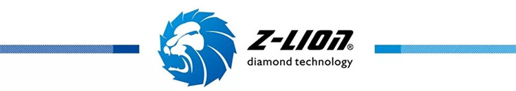 LOGO OF Z-LION Xiamen ZL diamond technology Co., ltd.