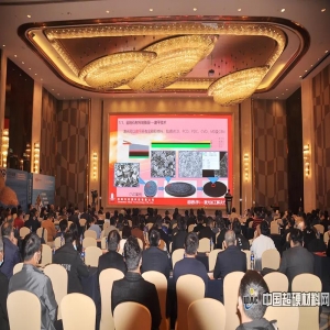 [Leading Industry Change] La conférence internationale sur le diamant et le forum de développement de la technologie des matériaux superdurs en Chine 2020 se sont terminés avec succès